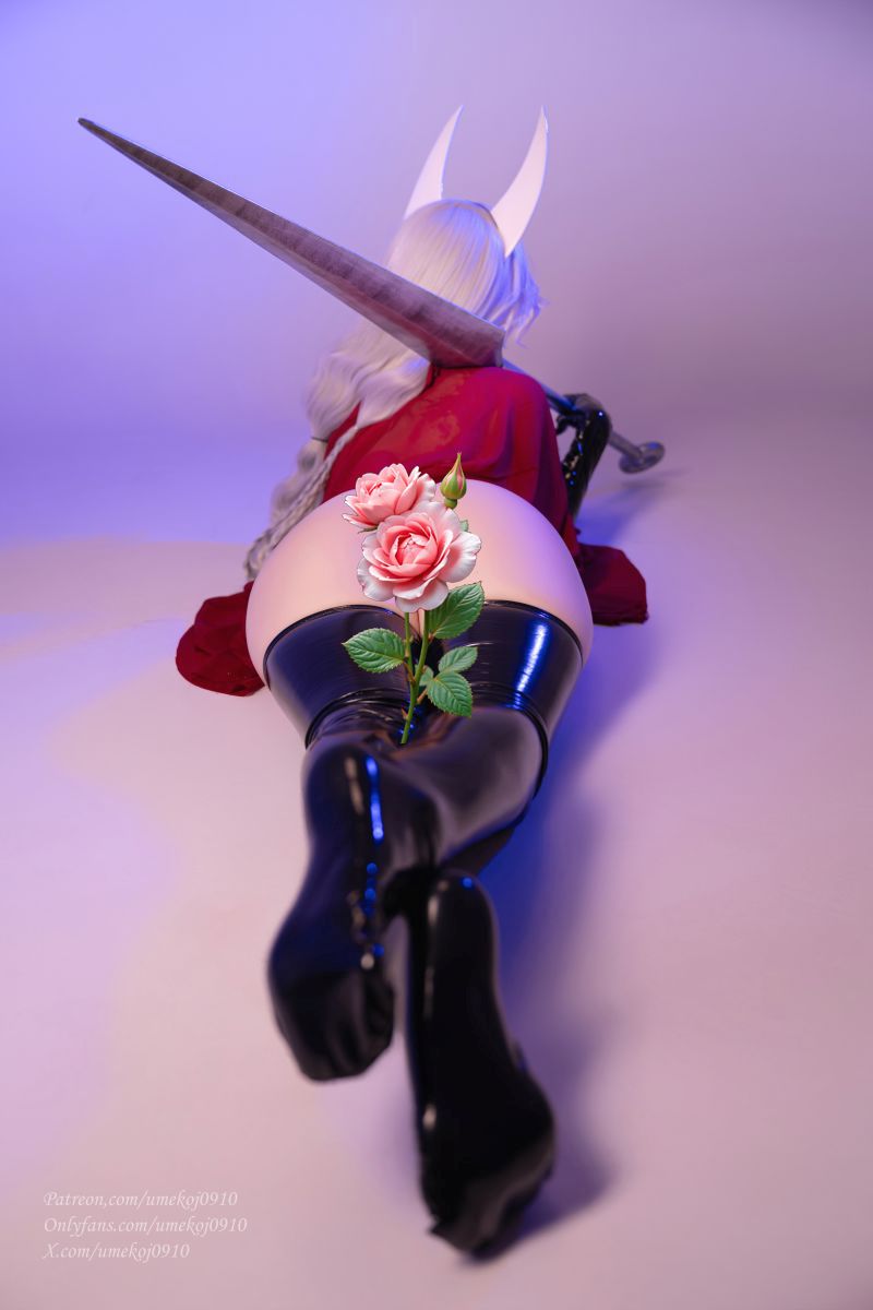 2931-UmekoJ-越南COSER写真素材更新[140~198]  - 全文